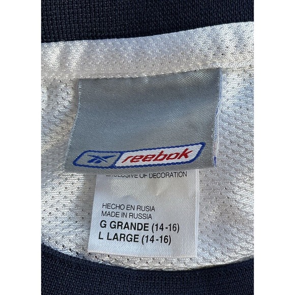 Reebok Richard Jefferson New Jersey Nets NBA Swingman Jersey Youth Size Large - Picture 7 of 7